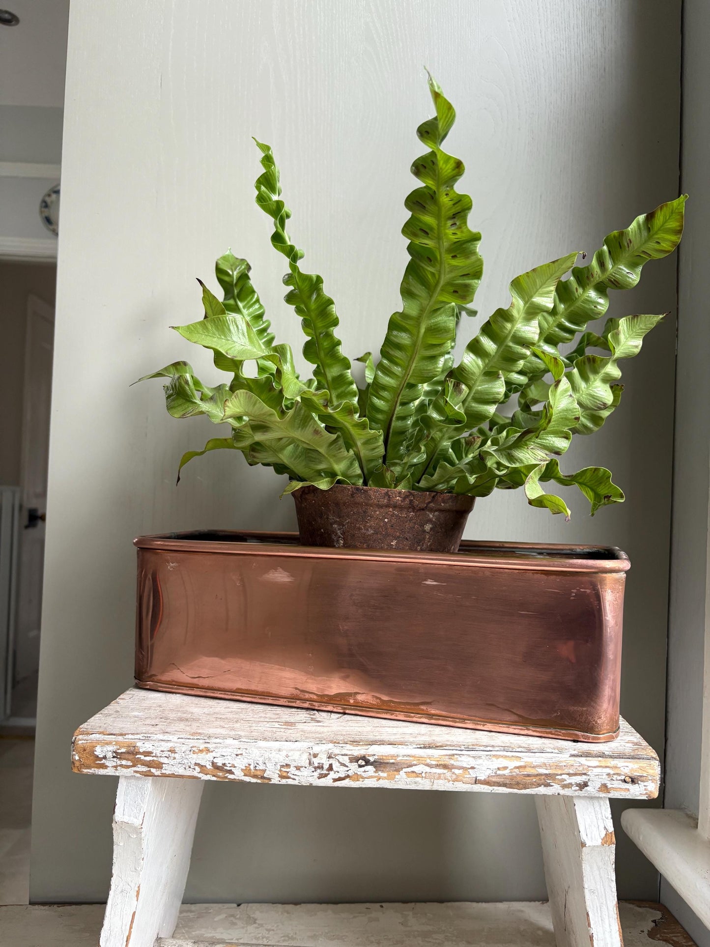 Copper Trough, Copper Planter, Windowsill Planter.