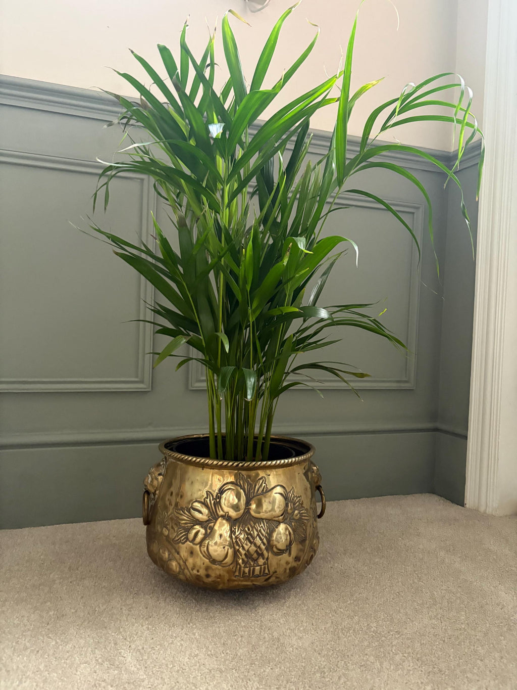 Large Brass Planter/Jardinere