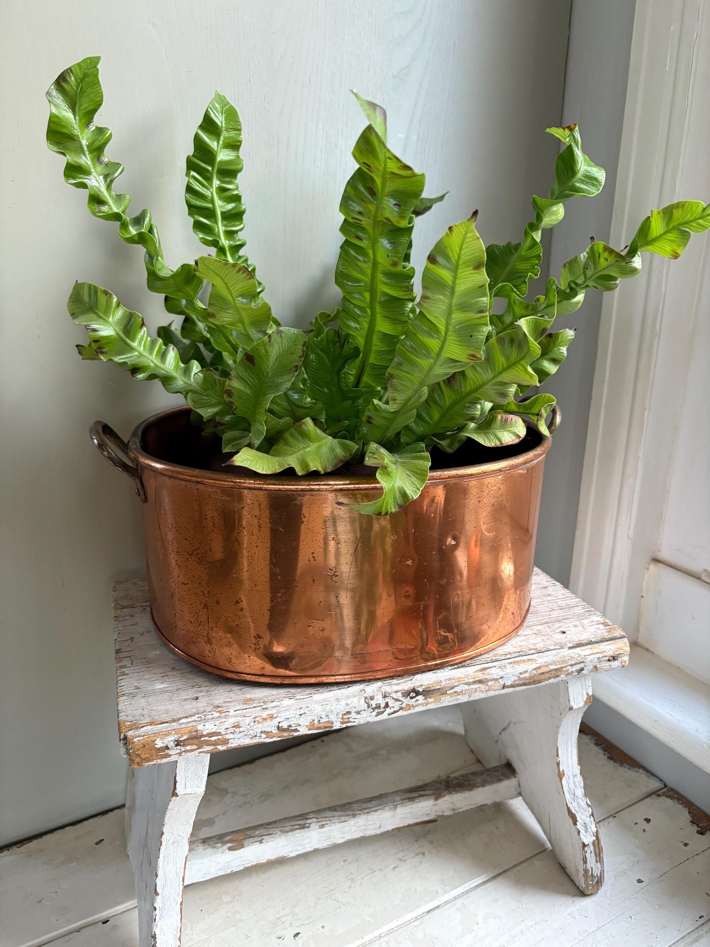 Large Oval Copper Planter