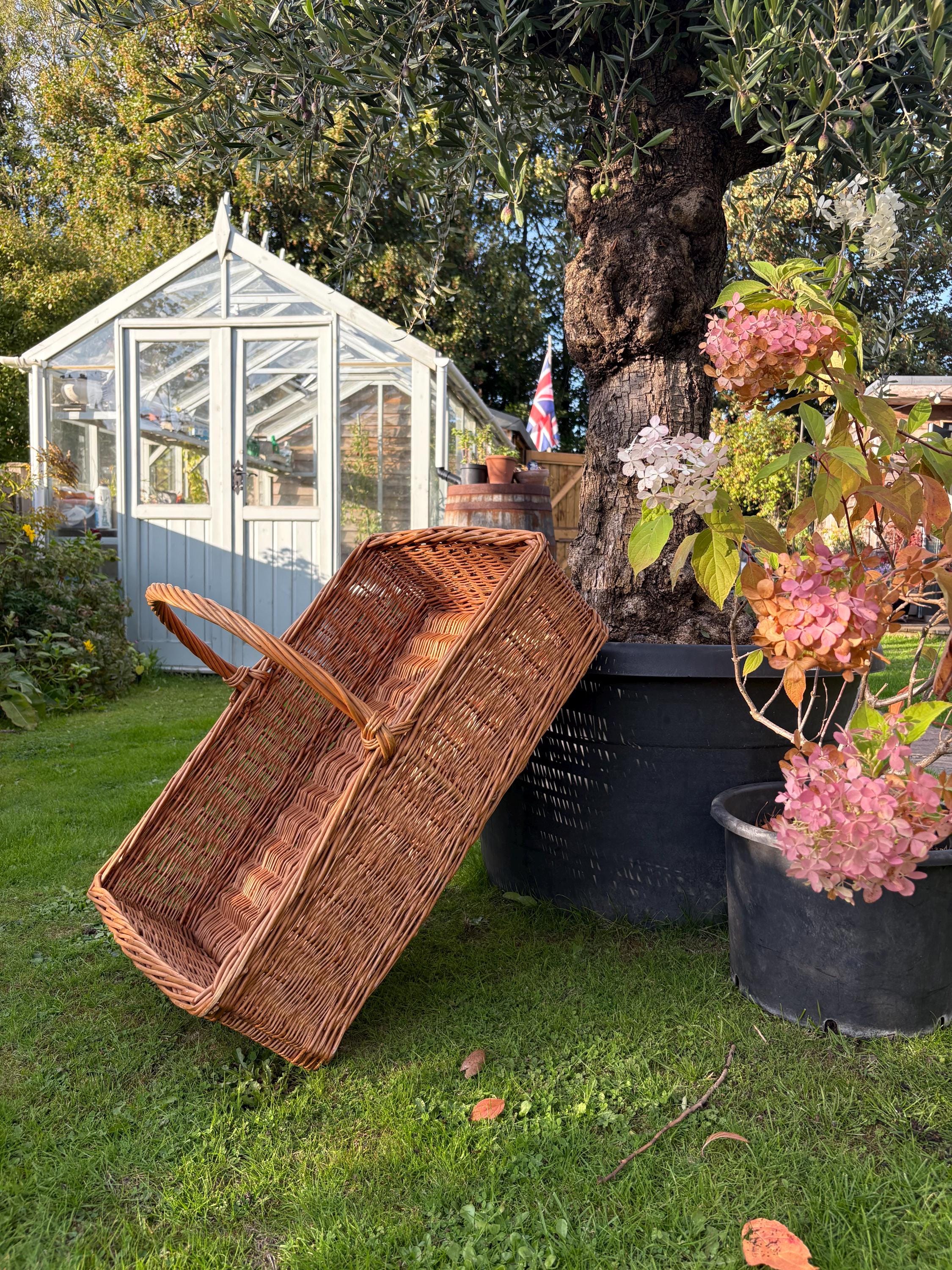 Huge Wicker Basket, Shop Display, Sandwich Round Basket.