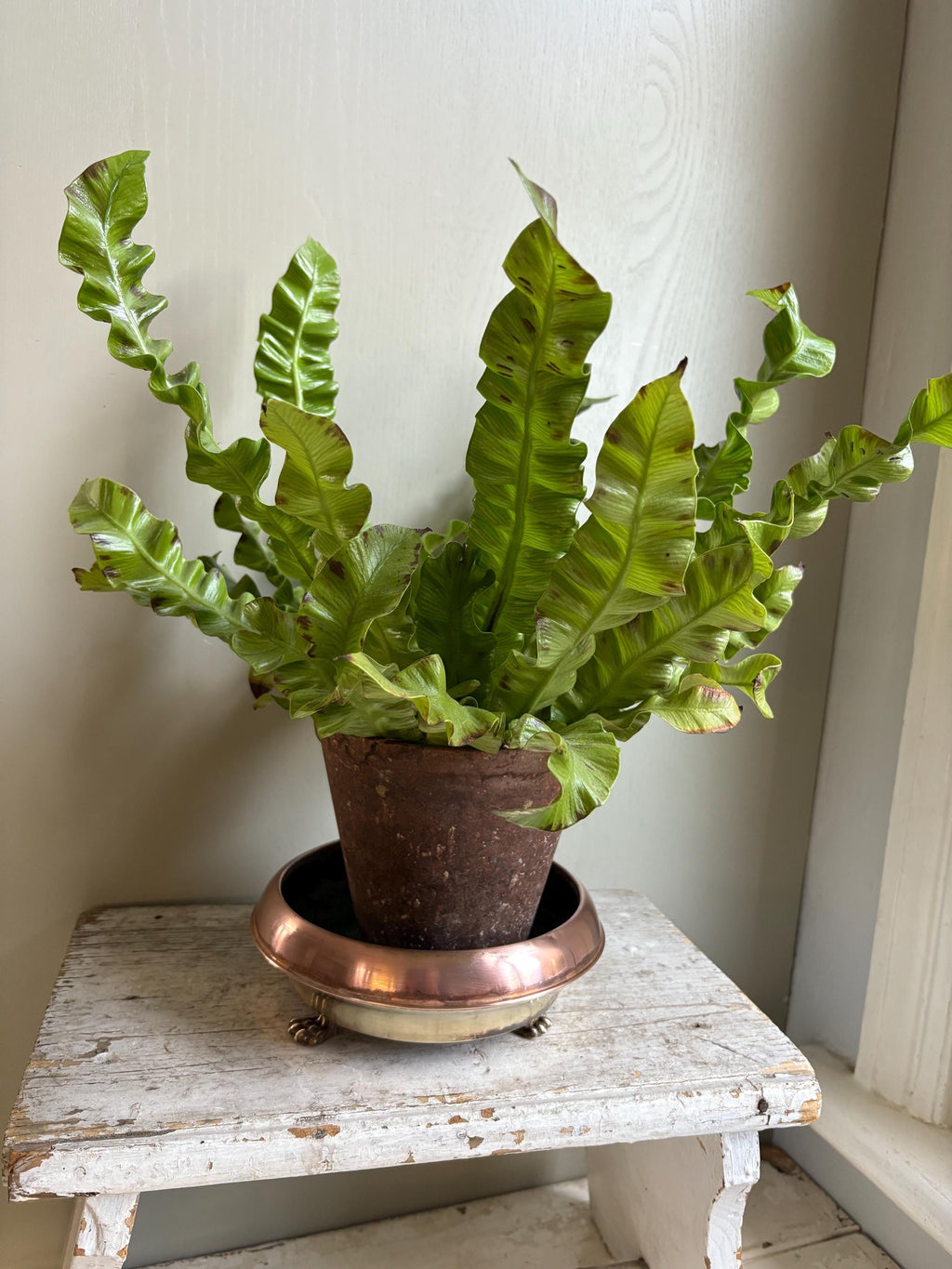 Copper and Brass Planter