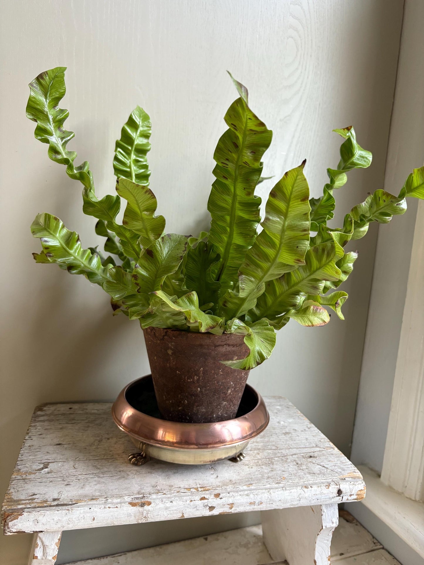 Copper and Brass Planter