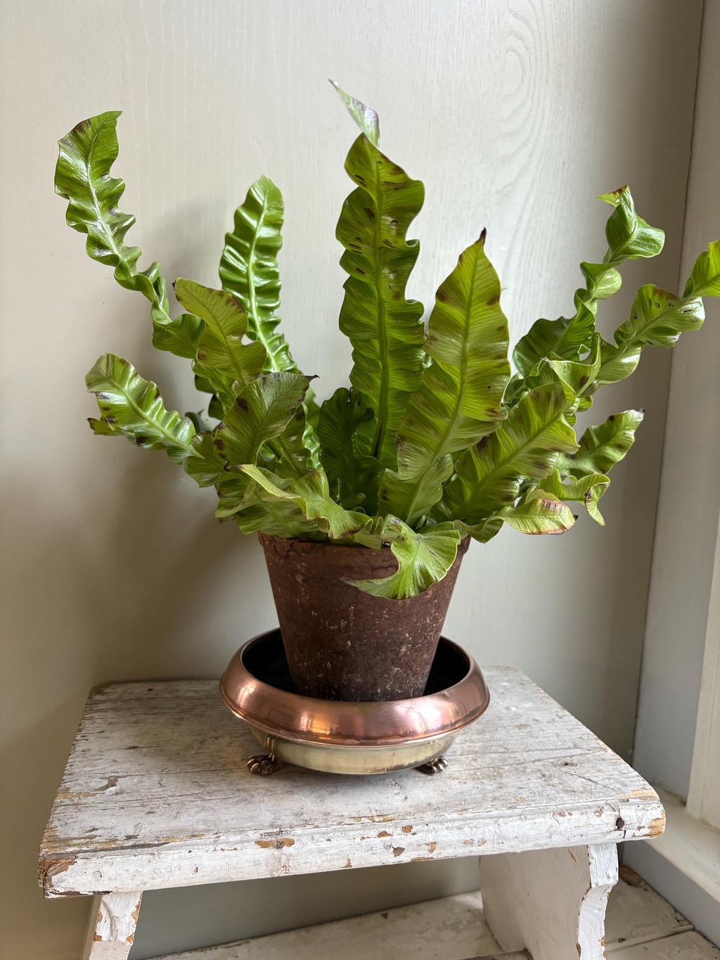 Copper and Brass Planter